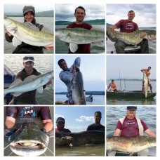 Fishing Tour - Angelbegleitung Donau Rumänien 